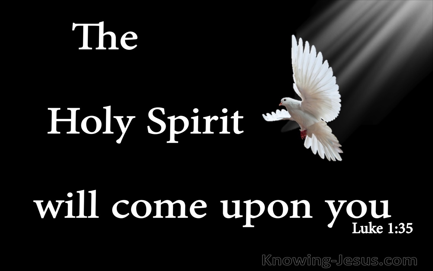Luke 1:35 The Holy Spirit Will Come Upon You (black)